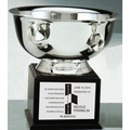 Revere Bowl 10" Award